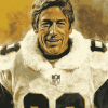 Aesthetic Joe Namath Footballers Diamond Painting