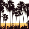 Aesthetic Palm Trees Diamond Painting