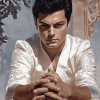 Aesthetic Tony Curtis Celebrity Diamond Painting