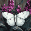 Aesthetic White Butterfly Diamond Painting