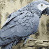 African Grey Bird Diamond Painting