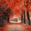 Autumn Walk Landscape Diamond Painting