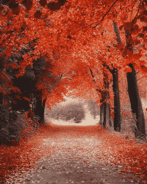 Autumn Walk Landscape Diamond Painting