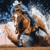 Barrel Racing Horse Diamond Painting