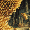 Bee-Inspired Honey Diamond Painting