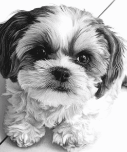 Black And White Shih Tzu Puppy Diamond Painting