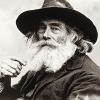 Black and White Walt Whitman Diamond Painting