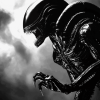 Black and White Xenomorph Aliens Diamond Painting