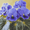 Blue African Violet Blossoms Diamond Painting