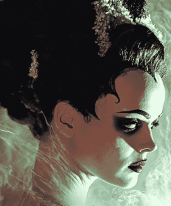 Bride Of Frankenstein Movie Diamond Painting