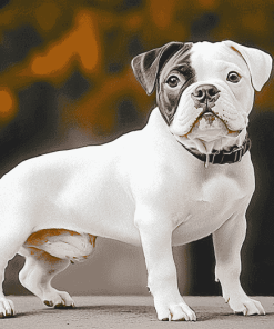 Bulldog Puppy Portraits Diamond Painting