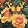 Butterfly and Rose Diamond Painting