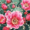 Cactus with Pink Rose Blossoms Diamond Painting