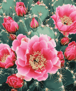 Cactus with Pink Rose Blossoms Diamond Painting