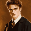 Captivating Cedric Diggory Diamond Painting