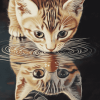 Cat and Kitten Reflection Diamond Painting