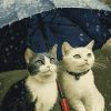 Cats and Kittens Under Umbrella Diamond Painting