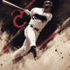 Chicago White Sox Baseball Diamond Painting