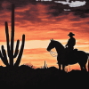 Cowboy Silhouette in Arizona Sunset Diamond Painting