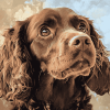 Cute Boykin Spaniel Puppy Diamond Painting