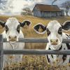 Cute Cows Farm Diamond Painting