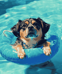 Cute Puppy By The Pool Diamond Painting