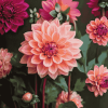 Dahlia Coral Blossoms Diamond Painting