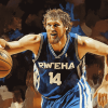 Dirk Nowitzki Basketball Diamond Painting