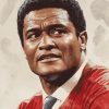 Elegant Eusebio Footballer Diamond Painting