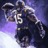 Elegant Minnesota Vikings Diamond Painting