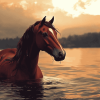 Fantasy Horse in Water Diamond Painting