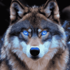 Fantasy Wolf Art Diamond Painting