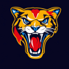 Florida Panthers Ice Hockey Diamond Painting