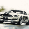 Ford Shelby GT350R Engine Diamond Painting
