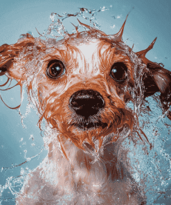 Funny Wet Puppy Diamond Painting