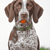 German Shorthaired Pointer Puppy Diamond Painting