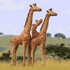Giraffes in Love Diamond Painting