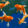 Gold Carp Fish Diamond Painting