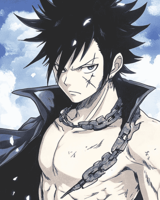 Gray Fullbuster Anime Diamond Painting