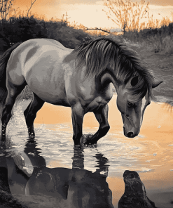 Grey Horse Splashing Diamond Painting