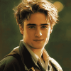 Harry Potter's Cedric Diggory Diamond Painting