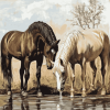 Horses Drinking Water Diamond Painting