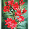 Indian Paintbrush Blossoms Diamond Painting