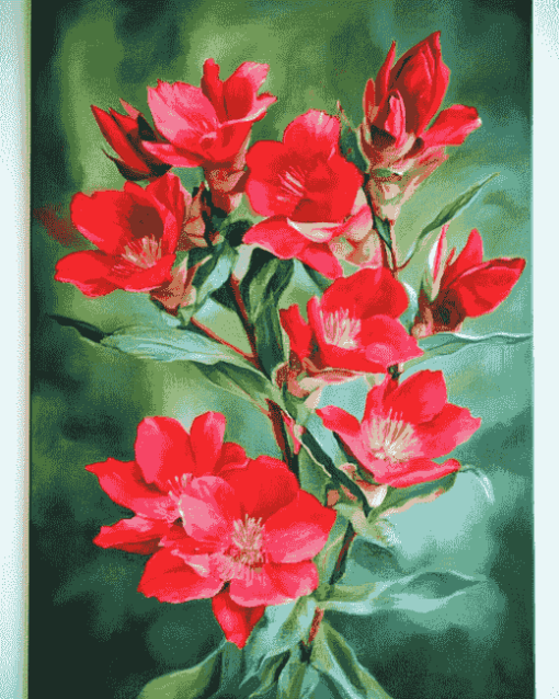 Indian Paintbrush Blossoms Diamond Painting