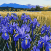 Iris Landscapes of Ireland Diamond Painting