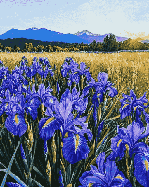 Iris Landscapes of Ireland Diamond Painting