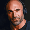 Joe Rogan Experience Diamond Painting