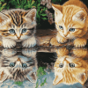 Kittens Water Reflection Diamond Painting