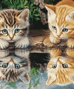 Kittens Water Reflection Diamond Painting