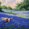 Longhorn and Bluebonnets Diamond Painting